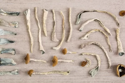 Buy Magic mushrooms Online