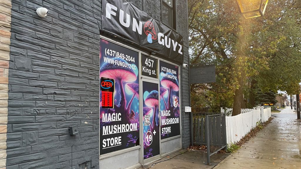 Psychedelic mushroom shop