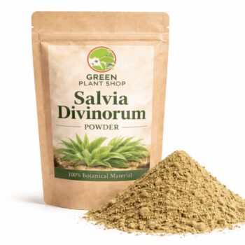 Salvia divinorum