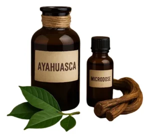 Ayahuasca Retreat Ayahuasca retreats